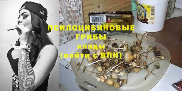 бошки Аркадак