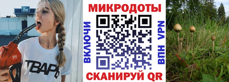 Галлюциногенные грибы MAGIC MUSHROOMS  наркота  Кувшиново 